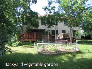 Backyard Vegetable Garden